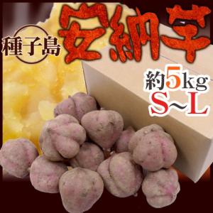 種子島産 ”安納芋” S〜Lサイズ 約5kg【予約 10月下旬以降】 送料無料