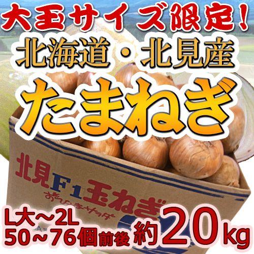 北海道 北見F1 ”たまねぎ” 秀品 約20kg 大玉L〜LLサイズ 玉葱【予約 8月末以降】 送料...