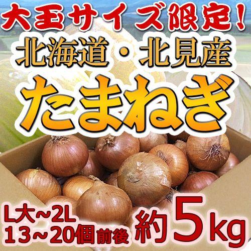 ”北海道 北見F1 たまねぎ” 秀品 約5kg 大玉L〜LLサイズ 玉葱【予約 8月末以降】 送料無...