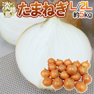 兵庫県 淡路島産 新たまねぎ” 秀品 L/2L 約10kg【予約 4月末以降