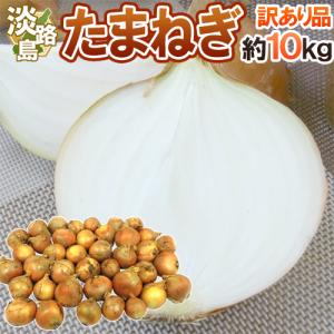 兵庫県 淡路島産 ”新たまねぎ” 訳あり 約10kg【予約 4月末以降】 送料無料