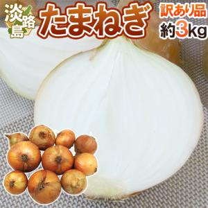 兵庫県 淡路島産 たまねぎ” 秀品 L/2L 約10kg【予約 入荷次第発送