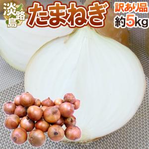 兵庫県 淡路島産 新たまねぎ” 秀品 L/2L 約10kg【予約 4月末以降