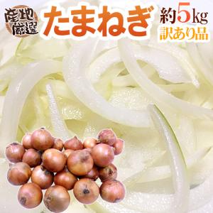 北海道 北見F1 ”たまねぎ” 秀品 約20kg 大玉L〜LLサイズ 玉葱