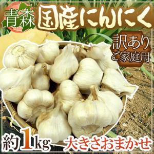 青森県 訳あり ”国産にんにく” 約10kg 送料無料 : くらし快援隊 青森県 訳あり ”国産にんにく” 約10kg 送料無料 : くらし快援隊