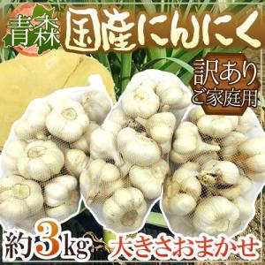 青森県 訳あり ”国産にんにく” 約10kg 送料無料 : くらし快援隊 青森県 訳あり ”国産にんにく” 約10kg 送料無料 : くらし快援隊