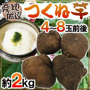 値下げ 業者様専用 最安値 石川県 加賀 丸いも ワケあり 小玉 10キロ