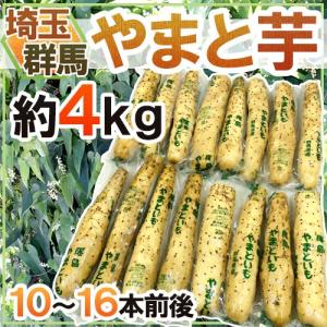 山芋 楽天市場】【 丹波産 冷凍 おろし山芋 芋太郎 □加糖タイプ