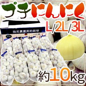 青森県 訳あり ”国産にんにく” 約10kg 送料無料 : くらし快援隊 青森県 訳あり ”国産にんにく” 約10kg 送料無料 : くらし快援隊