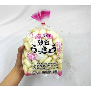 洗いらっきょう 鳥取 JAいなば 福部産 ”砂...の詳細画像3