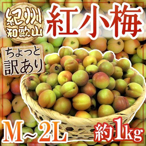 紀州・和歌山産 ”紅小梅” ちょっと訳あり M・L・2Lサイズ 約1kg【予約 5月中旬以降】