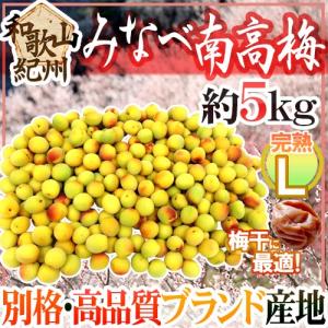 紀州・和歌山産 南高梅 完熟” 秀品 L 約3kg【予約 6月以降】 送料無料 