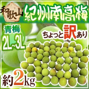 紀州・和歌山産 ”南高梅 青梅” ちょっと訳あり 2L〜3L 約2kg【予約 5月中旬以降】 送料無料