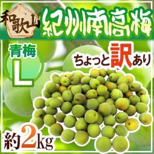 南高梅の青梅 2L〜3Lサイズ（1箱/3kg） : お梅はん本舗 YAHOO!店