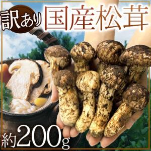 国産松茸” 訳あり 約200g 大きさおまかせ 産地厳選【予約 9月