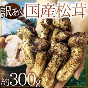 ”国産松茸” 訳あり 約300g 大きさおまかせ 産地厳選【予約 9月下旬以降】 送料無料