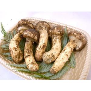 ”中国産 松茸” 約200g つぼみ〜中椀 3...の詳細画像2