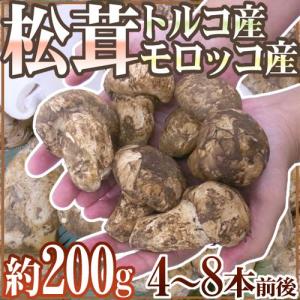 トルコ・モロッコ産 ”松茸” 4〜8本前後 約200g