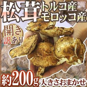 トルコ・モロッコ産 ”松茸” 訳あり 約200g 開き 大きさおまかせ