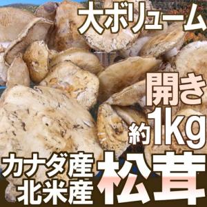 国産松茸” 訳あり 約400g 大きさおまかせ 産地厳選【予約 9月