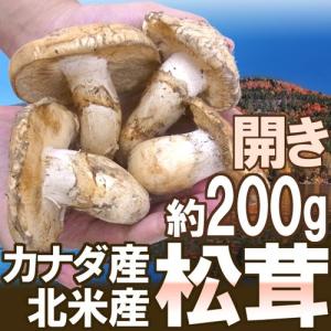 カナダ・北米産 ”松茸” 開き 2〜6本 約200g【予約 9月中下旬以降】 送料無料