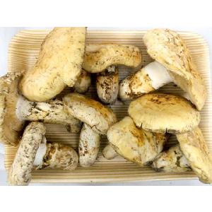 カナダ・北米産 ”松茸” 約500g 開き 大...の詳細画像2