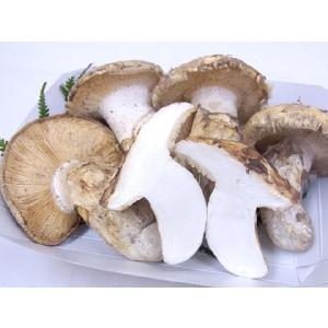 カナダ・北米産 ”松茸” 約500g 開き 大...の詳細画像3