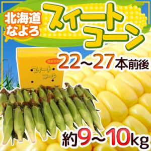 北海道 JA道北なよろ 高糖度とうもろこし ”スイートコーン” 22〜27本前後 約9〜10kg【予約 8月中下旬以降】 送料無料