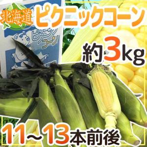 北海道産 ”ピクニックコーン” 11〜13本前後 約3kg 極甘とうもろこし【予約 8月中下旬以降】 送料無料