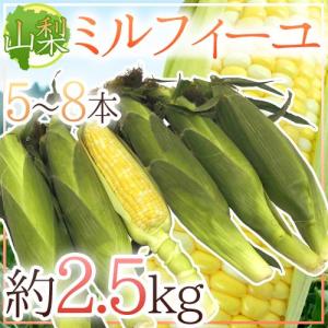 山梨県産 ”ミルフィーユ” 5〜8本 約2.5kg 生で食べられるフルーツコーン【予約 5月末以降】