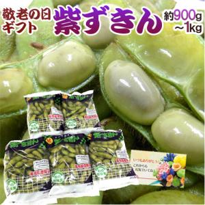 青マンゴー5kg （未熟で酸っぱいマンゴー）摘果マンゴー マムアン