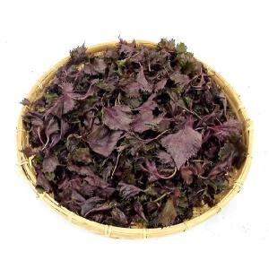 国内産 ”赤しそ” 1束 約500g 根つき ...の詳細画像5