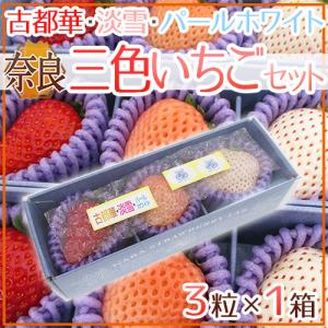 訳あり青梅（南高梅）1kg単位でご注文頂けます 梅酒用/梅干し用 和歌山