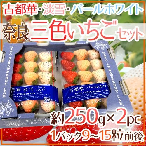 奈良県産 ”三色いちごセット” 2pc（1pcあたり9〜15粒前後 約250g）古都華・淡雪・パール...