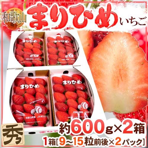 和歌山県 ”まりひめいちご（毬姫苺）” 秀品 2パック入り（1パック 9〜15粒 約300g）×《2...