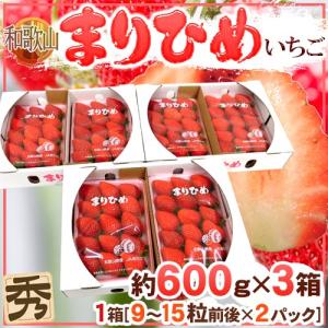 和歌山県 ”まりひめいちご（毬姫苺）” 秀品 2パック入り（1パック 9〜15粒 約300g）×《3箱》【予約 12月以降】 送料無料｜kurashi-kaientai