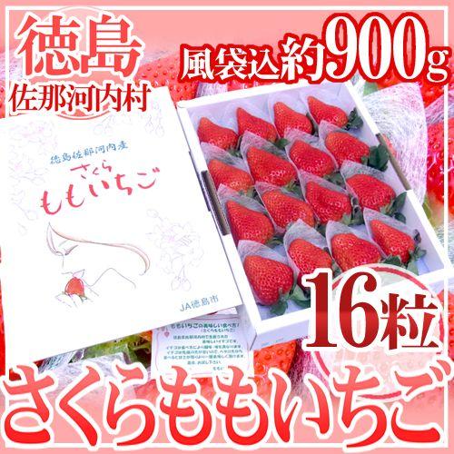 【お届け日指定可能】徳島県 ”佐那河内産 さくらももいちご” 特大16粒 化粧箱 送料無料