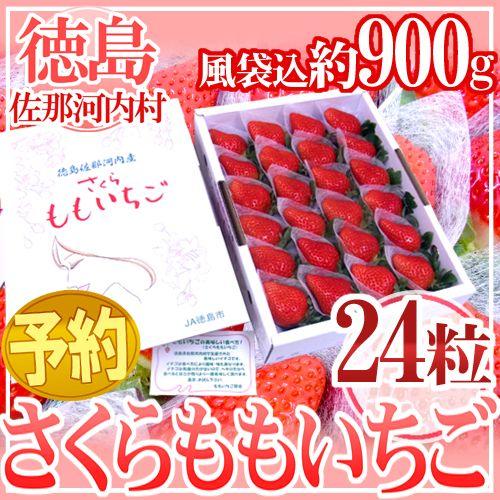 徳島県佐那河内産 ”さくらももいちご” 大粒24粒 化粧箱【予約 12月以降】 送料無料