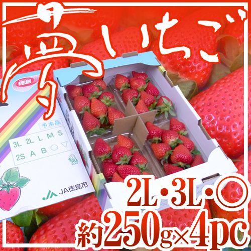 【お届け日指定可能】徳島県勝占産 ”夢いちご” 大粒 2Lor3Lor大粒○ 約250g×4pc 送...