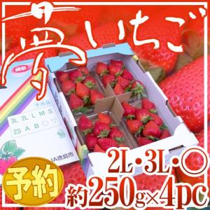 徳島県勝占産 ”夢いちご” 2Lor3Lor大粒○ 約250g×4pc【予約 12月以降】 送料無料｜くらし快援隊