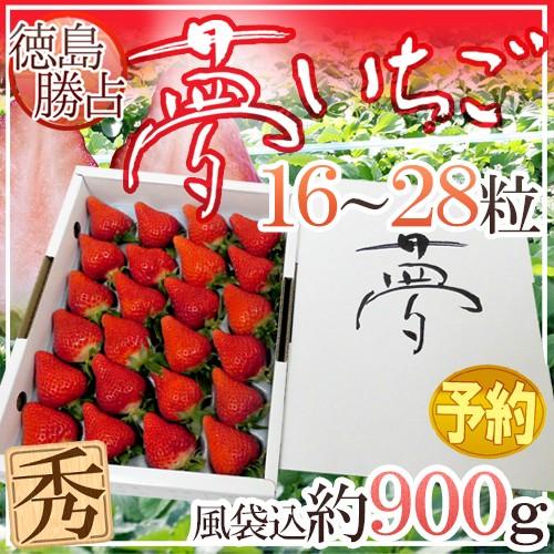 徳島県勝占産 ”夢いちご” 大粒 16〜28粒 化粧箱入り【予約 12月以降】 送料無料