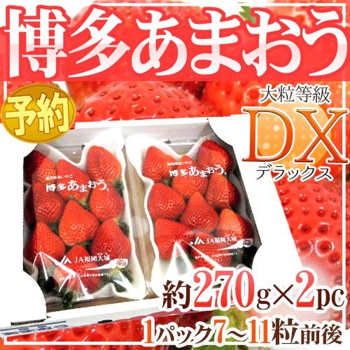 福岡産 博多 ”あまおういちご” 等級DX（デラックス） 1箱 2パック入り（1パック約270g）【...