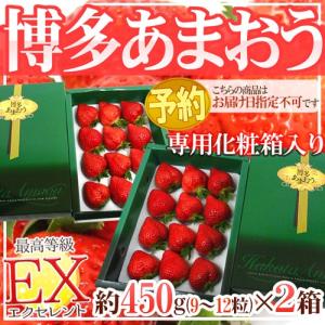福岡産いちご ”博多あまおう” 最高等級EX（エクセレント） ギフト専用化粧箱入り 9〜12粒 約450g×《2箱》【予約 12月以降】 送料無料