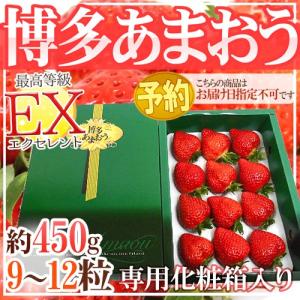 福岡産いちご ”博多あまおう” 最高等級EX（エクセレント） ギフト専用化粧箱入り 9〜12粒 約450g×《1箱》【予約 12月以降】 送料無料