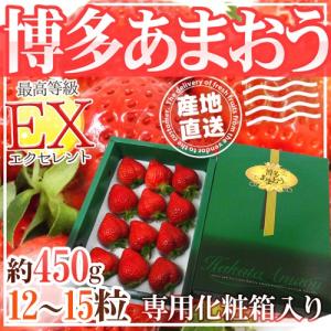 福岡産いちご ”博多あまおう” 最高等級EX（エクセレント） ギフト専用化粧箱入り 12〜15粒 約450g×《1箱》【予約 12月中旬以降】【産地直送】 送料無料｜kurashi-kaientai