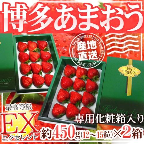 福岡産いちご ”博多あまおう” 最高等級EX（エクセレント） ギフト専用化粧箱入り 12〜15粒 約...