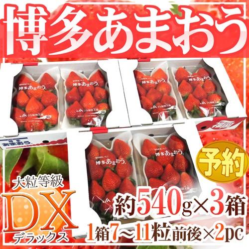 福岡産 博多 ”あまおういちご” 等級DX（デラックス） 3箱 6パック入り（1パック約270g）【...
