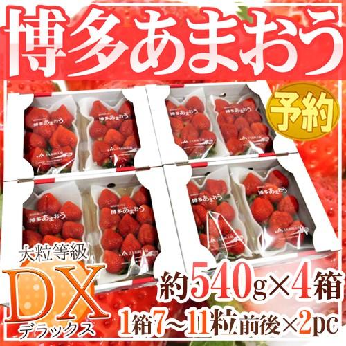 福岡産 博多 ”あまおういちご” 等級DX（デラックス） 4箱 8パック入り（1パック約270g）【...