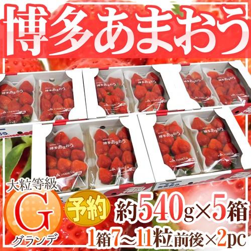 福岡産 博多 ”あまおういちご” 等級G（グランデ） 5箱 10パック入り（1パック約270g）【予...