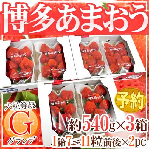 福岡産 博多 ”あまおういちご” 等級G（グランデ） 3箱 6パック入り（1パック約270g）【予約...